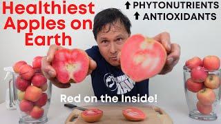 The Healthiest Apple on Earth: Taste Testing Red Fleshed Apples