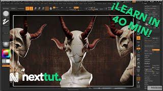 Zbrush Beginner Tutorial | Learn Zbrush in 40 min!