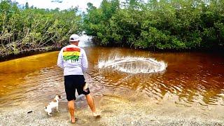 Catching our Food with a Big Net on an Island and Cooking it Straight out of the Water!