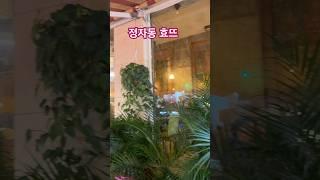 여기 어디 베트남 여행중  맛도 가성비도 분위기도 넘 좋은 효뜨#정자동카페 #정자동맛집 #정자동아시안요리#분당맛집 #베트남요리#가성비추천 #베트남쌀국수 #팟타이
