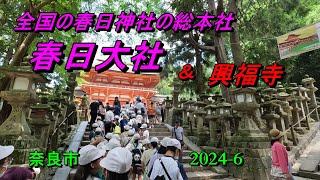 春日大社と興福寺 (奈良県、2024-6）