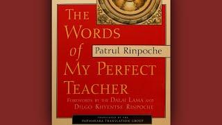 The Words of My Perfect Teacher part 1 ch. 3 [2020-05-18]