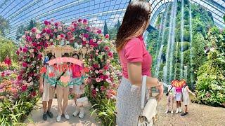 🪸 𝐬𝐢𝐧𝐠𝐚𝐩𝐨𝐫𝐞 𝐯𝐥𝐨𝐠 • part one — gardens by the bay, cloud forest ️ and flower dome 