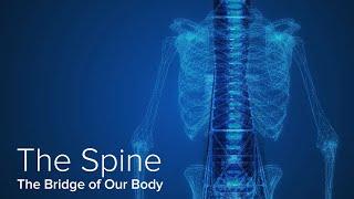 Understanding Spine Pain - Yale Medicine Explains