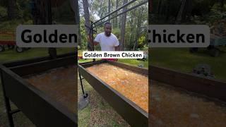Golden Brown Chicken ‼️‼️ #explore #explorepage #foodblogger #foodie #foodlover #fypage #fypシ゚