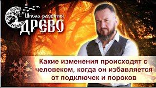 Какие изменения происходят с человеком, когда он избавляется от подключек и пороков