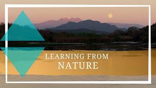 Learning from Nature || Wilderness Therapy at Anasazi Foundation