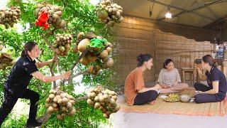 Harvesting Toad fruits goes to market sell | Best recipe to make salad and enjoy with two nice girls