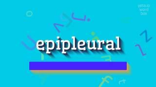 How to say "epipleural"! (High Quality Voices)