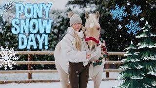 PONY SNOW DAY!!