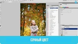 Цвет наше всё   |   Сочный цвет
