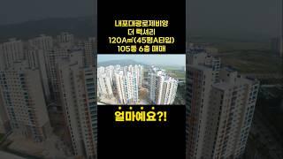 내포신도시 대광로제비앙|120A㎡ 45평A타입 매매|내포아파트는 무조건 센트럴 아시죠?! ^^#내포중흥s클래스 #내포모아미래도2차 #내포반도유보라 #내포상가