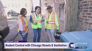 Try My Job: Rodent Control with Chicago Streets & Sanitation