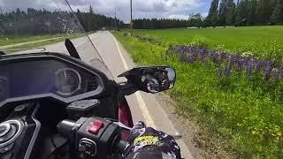 With Honda Goldwing 1800 traveling in northern Savo finland June 2024