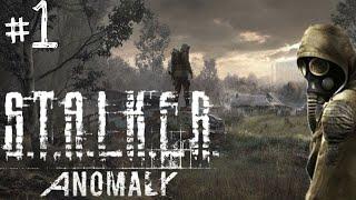 САМАЯ ВЫСОКАЯ СЛОЖНОСТЬ || S.T.A.L.K.E.R ANOMALY #1