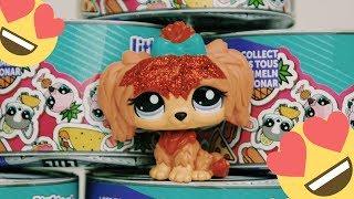 Unboxing NEW LPS Hungry Pets Blind Boxes!