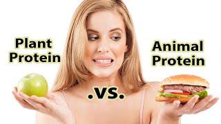 Animal Protein vs. Plant Protein - By Sunil Pai, M.D.