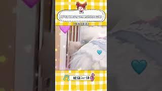 小貓：我摸摸我摸摸~ #貓咪 #可愛 #娛樂評論大賞