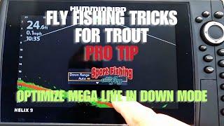 FLY FISHING TRICKS FOR TROUT: PRO TIP - OPTIMIZE MEGA LIVE IN DOWN MODE