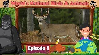 Episode 1 | World's National Birds and Animals | Numismatics Academy | Change2e