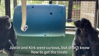 Blue Barrel Enrichment Fun!