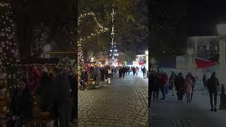 Lost in the Glow: Wandering Through Munich's Festive Market #christmas