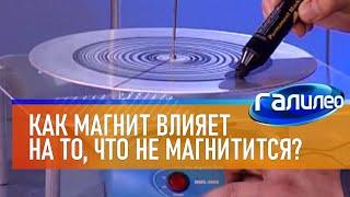 Галилео | Эксперимент  Как магнит влияет на то, что не магнитится?