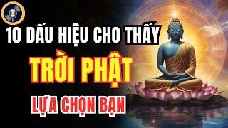 10 Dấu Hiệu Cho Thấy: Bạn Là Người Được Trời Phật Lựa Chọn Mang Sứ Mệnh Cao Cả