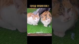 니네 집이야 !