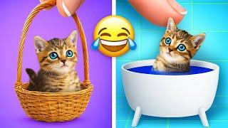 Secret Cat Surprise!  Amazing DIY Room Makeover & Hacks