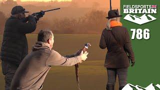 Fieldsports Britain – Hand-thrown birds