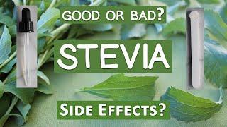 Is Stevia Healthy? The Truth About This Sugar Substitute!