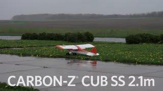 Quick Look: E-flite® Carbon-Z® Cub SS 2.1m