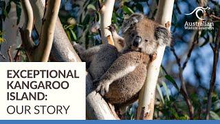 Our Story: Exceptional Kangaroo Island | Australian Wildlife Journeys