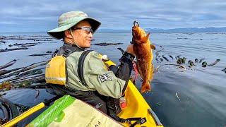 Kayak fishing for Kelp Greenling and Flounder