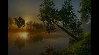Одинокая гармонь (Экспи)