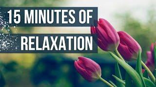 15 Minutes of Relaxing Music and Gorgeous Floral Scenery