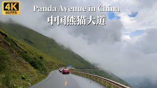 Driving on China's Panda Avenue, crossing the Balang Mountain Pass at an altitude of 4,500M - 4K