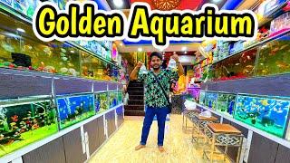 Golden Aquarium Wholesaler and Retailer (New Cooch Behar) | Two Floors Aquarium Shop | Amazing Stock