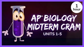 AP Biology Midterm Review // Biology Midterm 1 Hour Cram Session
