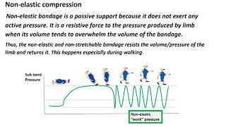 Physics of compression claude Franceschi