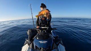 How Fast it Takes to Sea-Doo to Catalina Island and Make Fish Tacos!