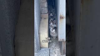 나만 보기 아까운 순간.. #고영희