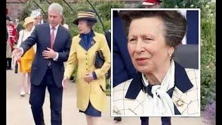 Princess Anne's mysterious brooch 'bursts with symbolism' during Hillsborough visit