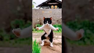 Bhilai ke comedy #shorts #viralvideo