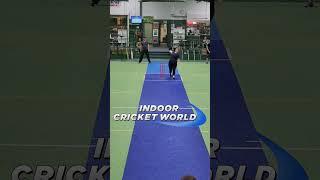 Women's Indoor cricket comp 2024