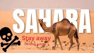 How to survive in Sahara Desert| Desert survival skill|How to stay alive in the desert| IP