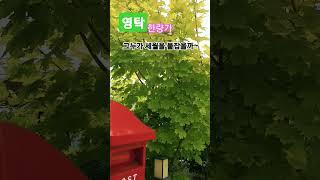 영탁 "한량가"그누가  세월을 붙잡을까~세월 너무 빠름