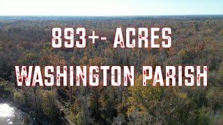 Hunting Land for Sale in Washington Parish, Louisiana (Deer, Duck, & Turkey Paradise)