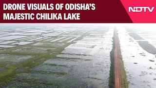 Odisha News | Drone Visuals Of Odisha's Majestic Chilika Lake